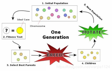 遗传算法图解