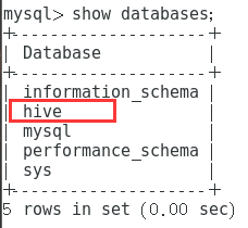 The result after initialization