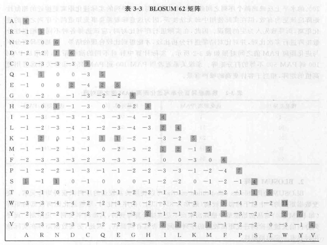 空位简谱_小星星简谱