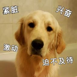 资源分配图