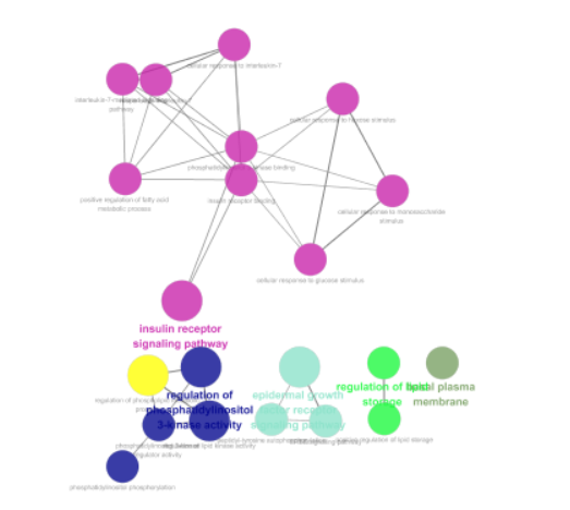 cytoscape---插件clueGO的使用_cytoscape的cluego-CSDN博客