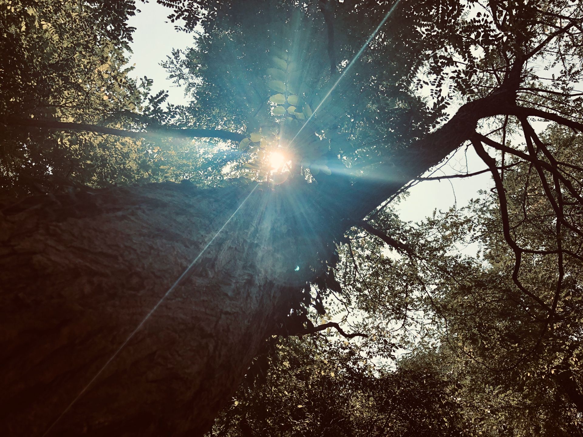 如何用Python实现将照片转化为手绘图片_python图像转水墨画-CSDN博客