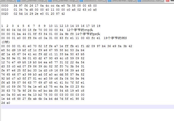 GB28181流_00 01 e0 20-CSDN博客