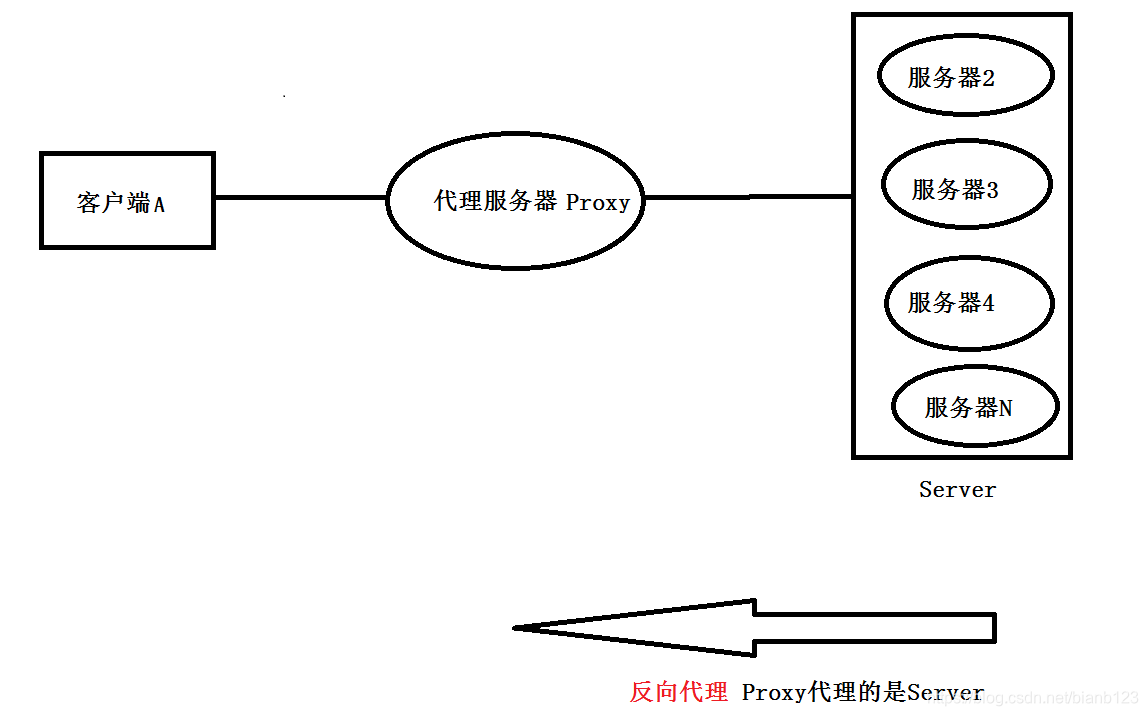 代理和反向代理的区别 watermark,type_ZmFuZ3poZW5naGVpdGk,shadow_10,text_aHR0cHM6Ly9ibG9nLmNzZG4ubmV0L2JpYW5iMTIz,size_16,color_FFFFFF,t_70