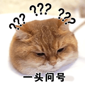 day0 老鼠:牛奶杀我啊