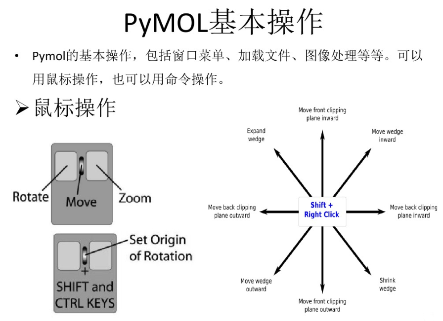 PyMOL | Pymol绘图教程（一）