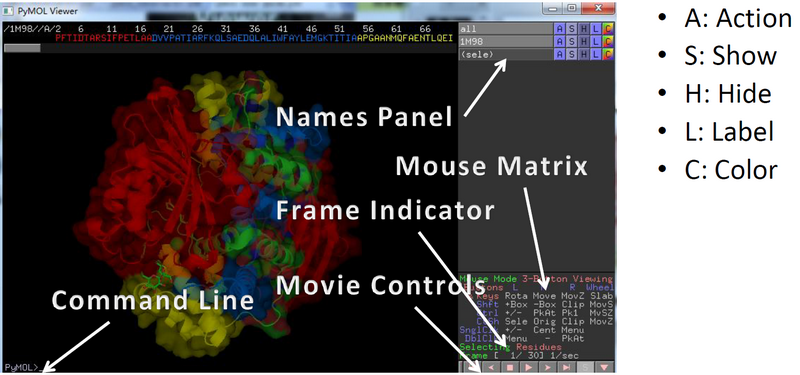 PyMOL  Pymol绘图教程（一）_DrugAI-CSDN博客_pymol