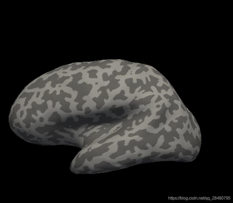 Freesurfer学习笔记——Introduction to Freesurfer Output(输出简介)_freesurfer 输出文件 ...