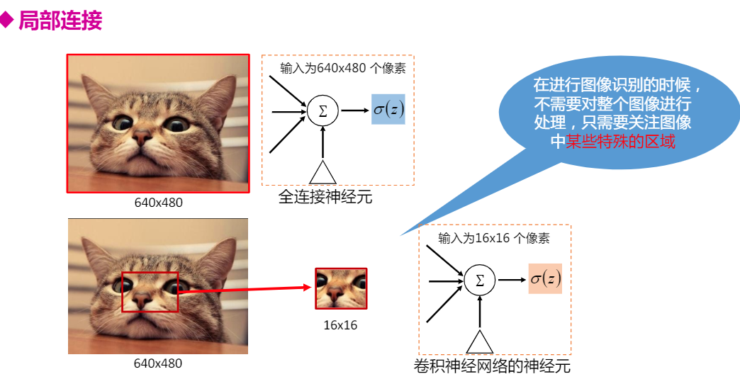 局部连接