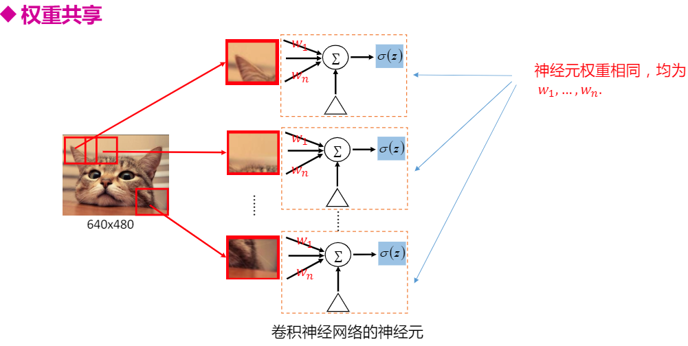 权重共享