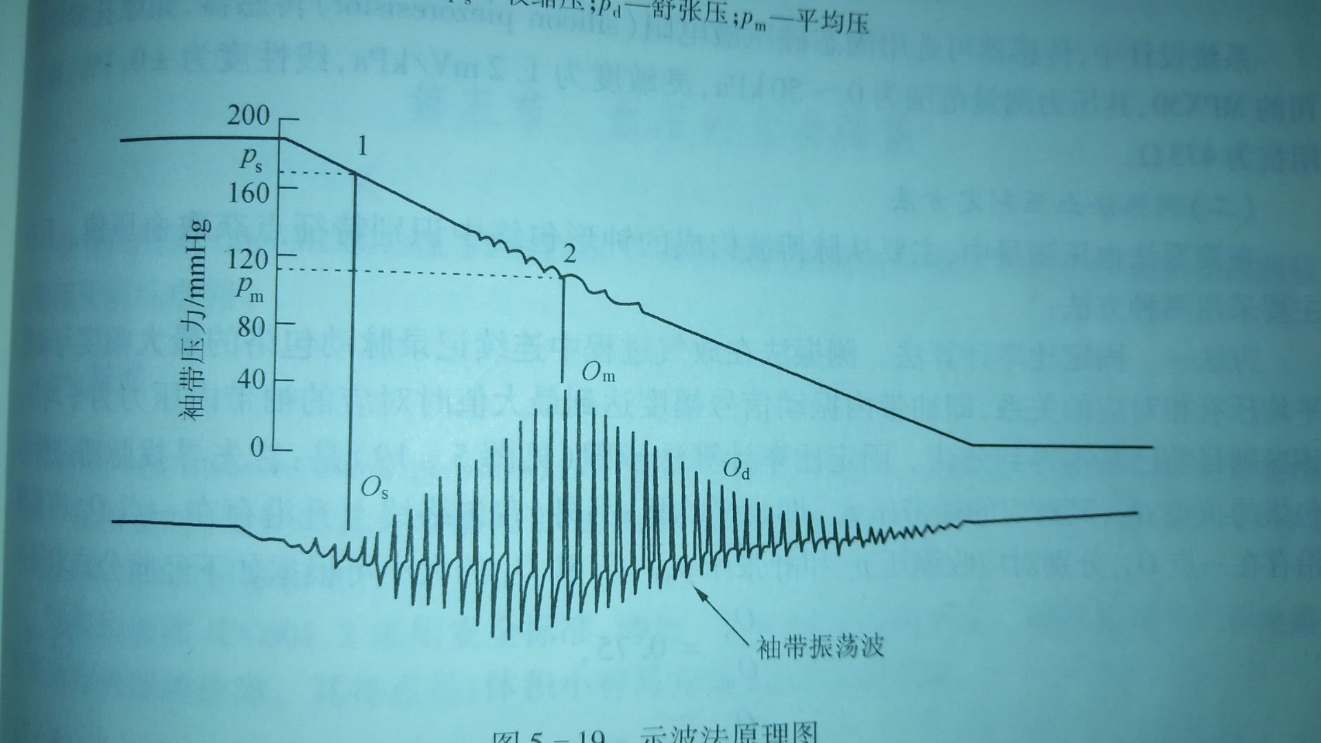 单片机电子血压计原理与设计