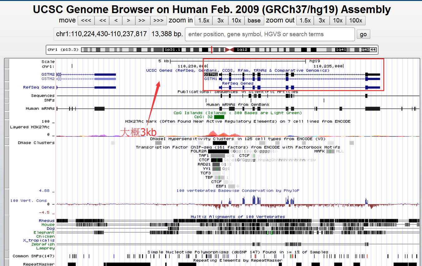 UCSC genome browser