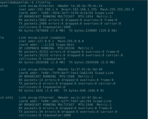 使用开源交换机（Open vSwitch）软件