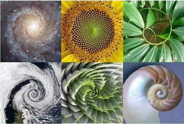 数学之美——自然常数e小故事和宇宙第一公式_自然常数e 降维-CSDN博客