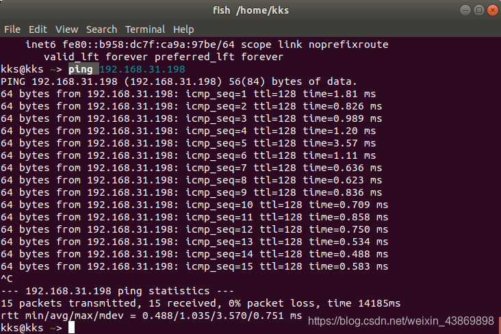 ping命令发送ICMP包