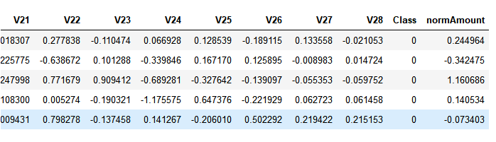 Amount列规范化后结果
