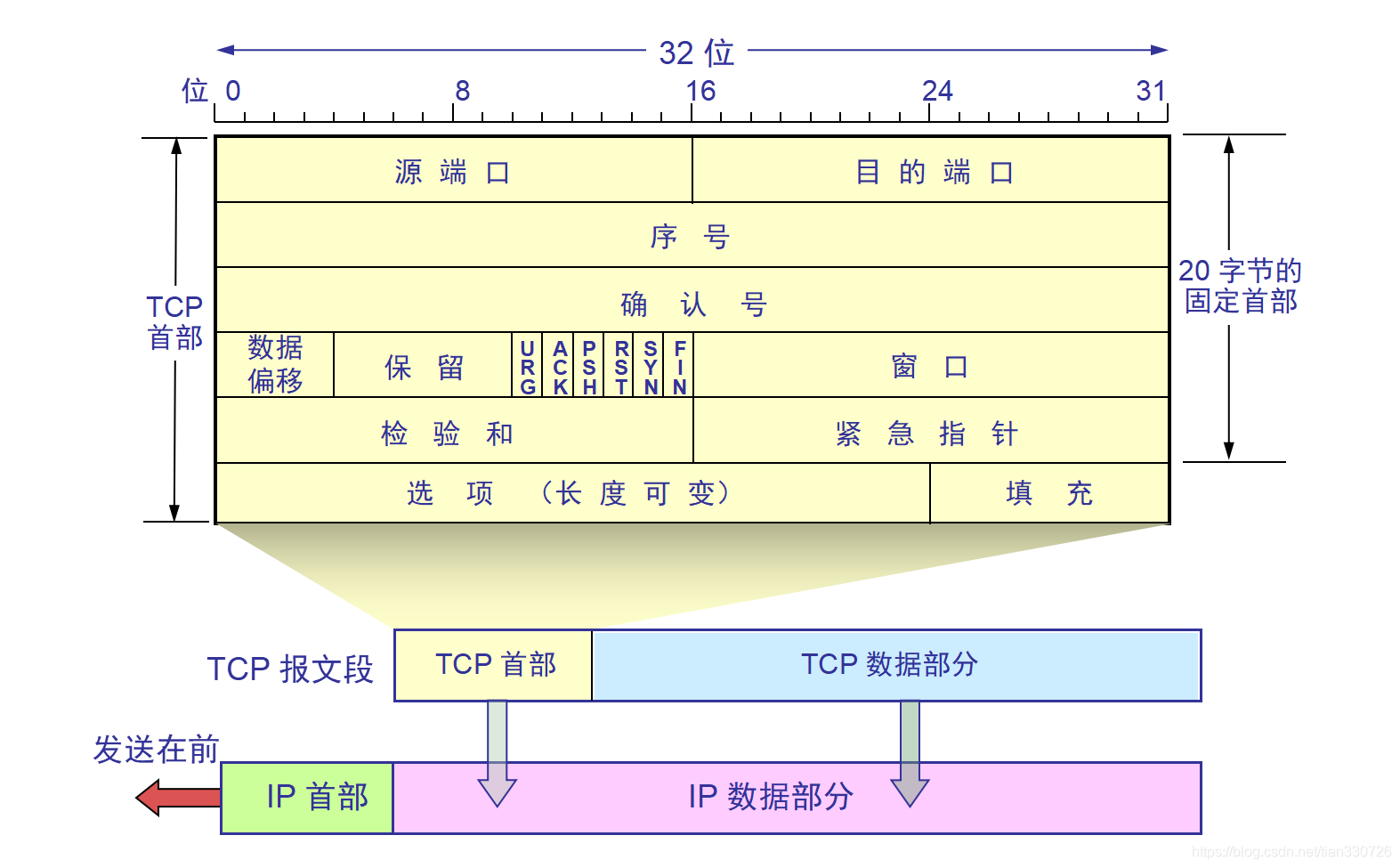 tcp-head