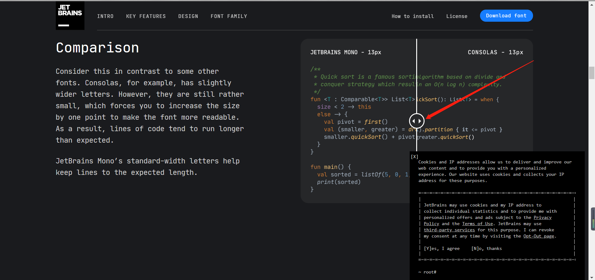 download jetbrains mono cdn