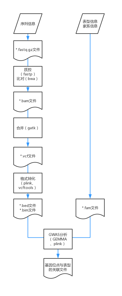 一文学会基因型和表型关联分析算法GEMMA