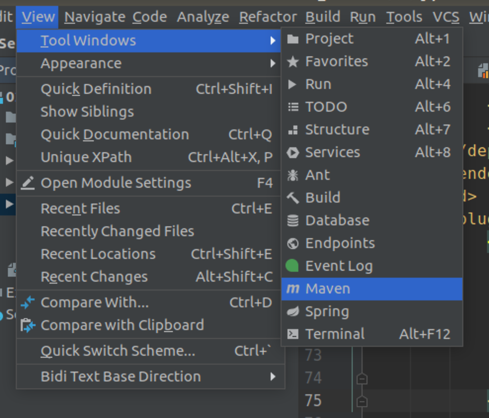 使用IDEA的Maven插件打包项目_the update interval of alimaven has elapsed or updCSDN博客
