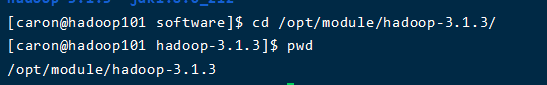 /opt/module/hadoop-3.1.3