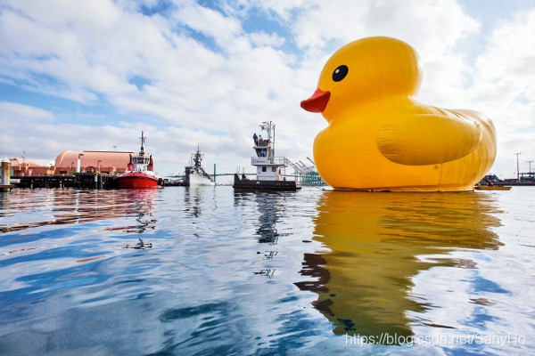 编程语言中的 DUCK TYPING|python、c++、java、go