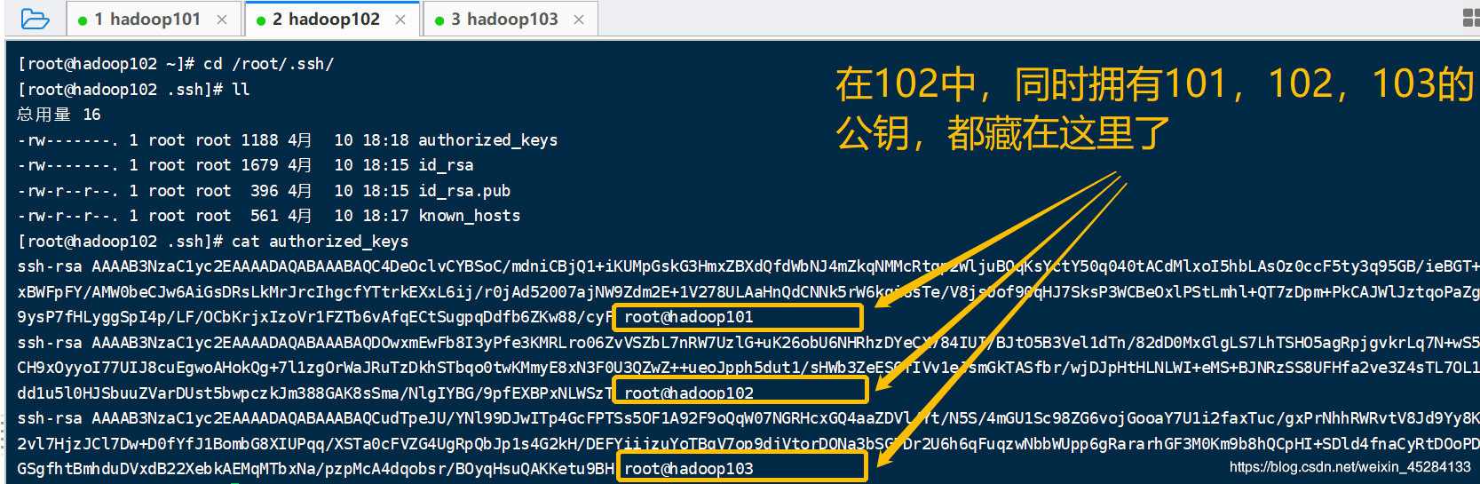 Linux---设置虚拟机之间免密登录---超详细---技术帖大数据weixin45284133的博客-