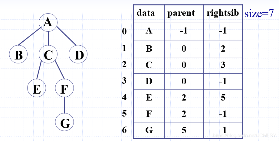 带右兄弟的双亲表示法