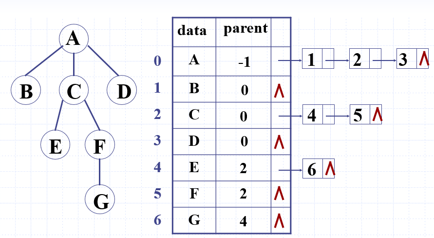 孩子双亲表示法