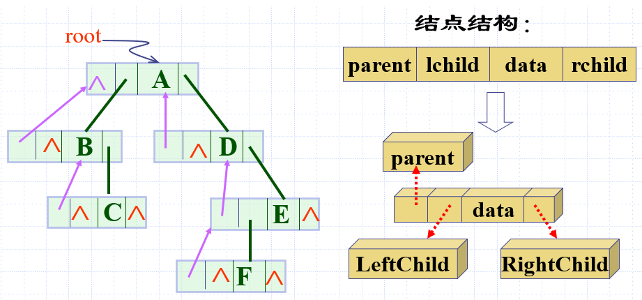 三叉链表