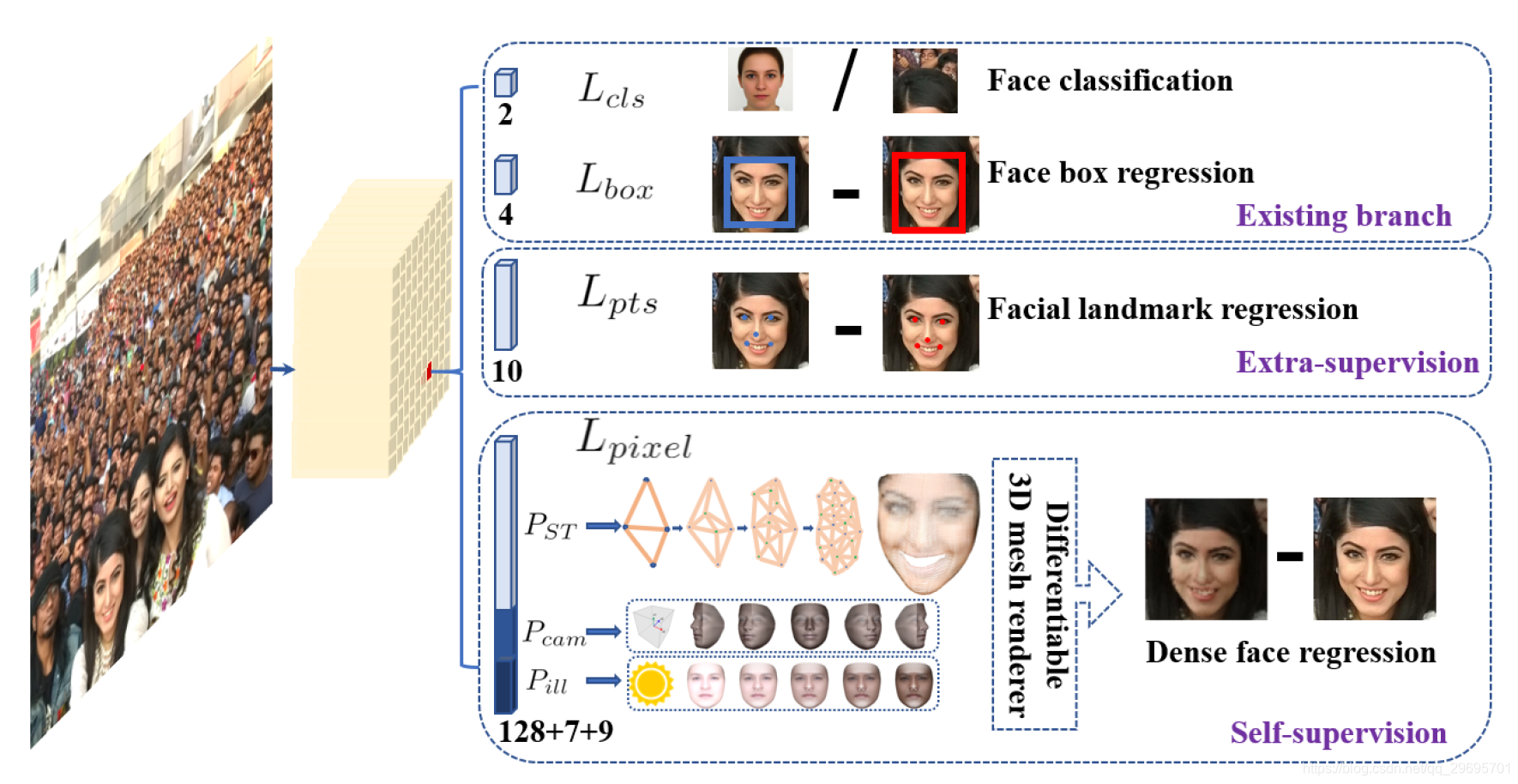 人口模型笔记_中国人口网课笔记