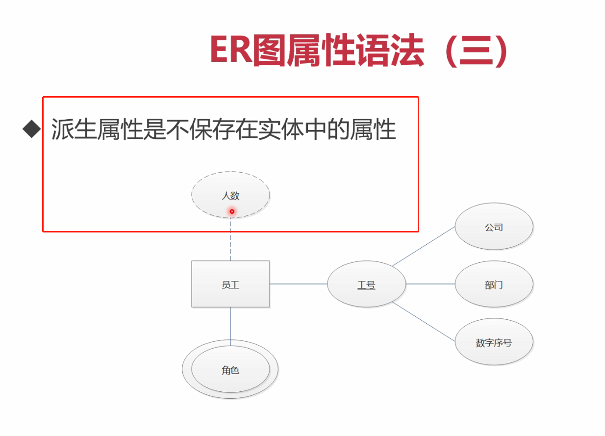 er图中的属性
