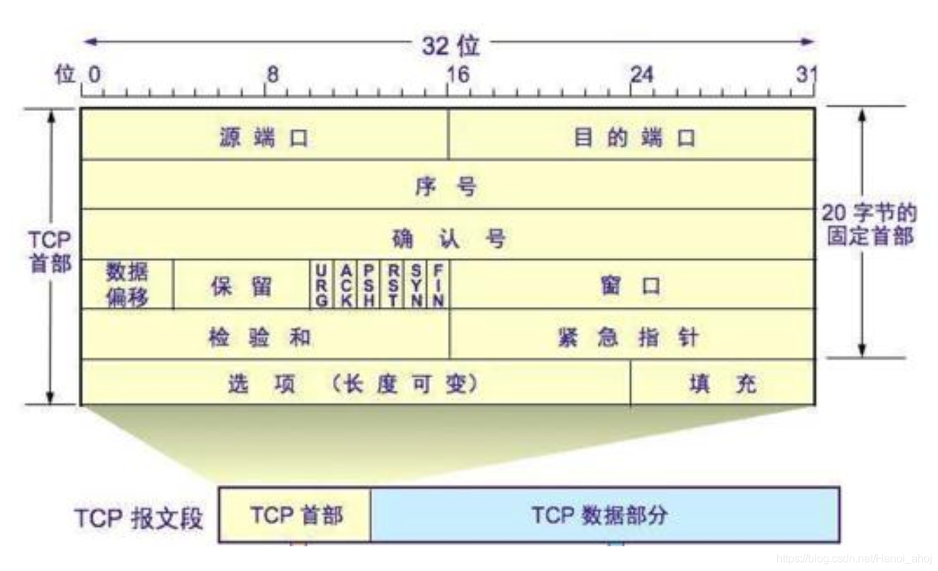 TCP 报文格式