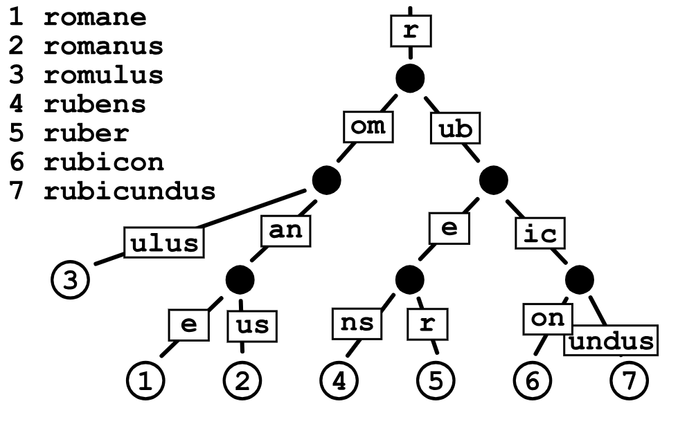 快速学习-梅克尔-帕特里夏树C/C++逍遥云恋-