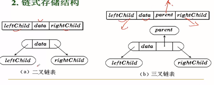 C--数据结构--树的学习