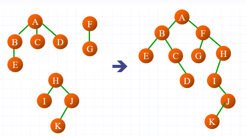 森林转化为二叉树