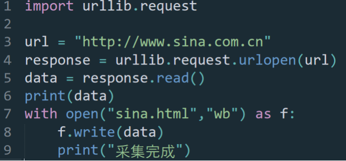 使用python写的一个简单的爬虫代码