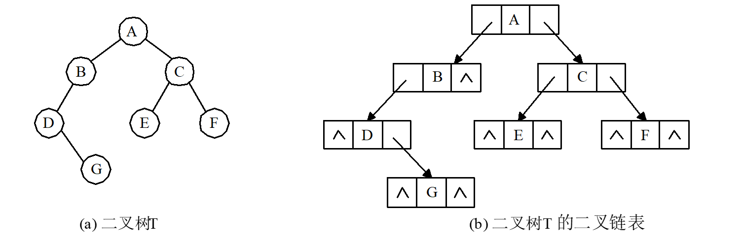 图6 二叉树和二叉链表