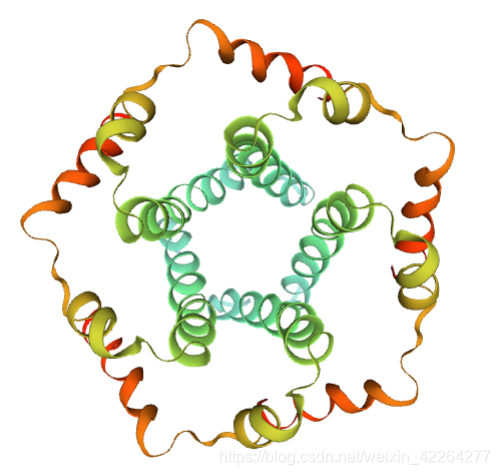 五聚体SARS-E-protein