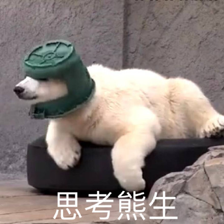 python爬虫实战：下载百度文库文档王杰安-