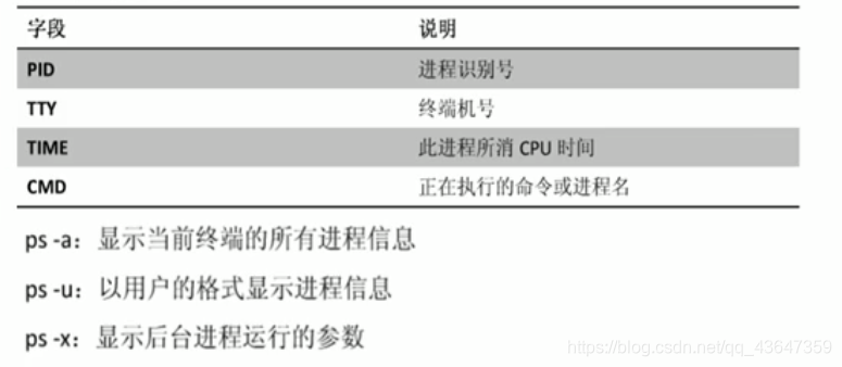 Insira a descrição da imagem aqui