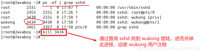 Insira a descrição da imagem aqui