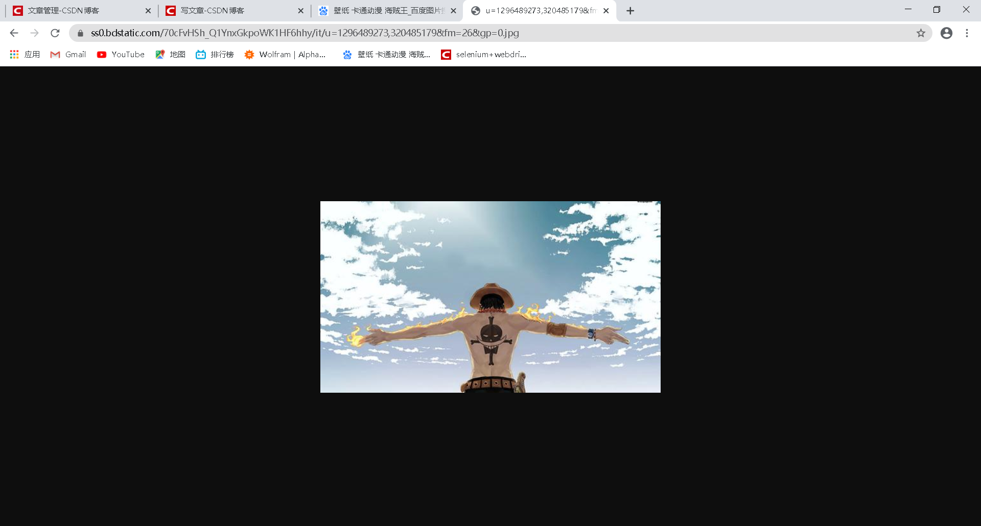 【selenium爬虫】Yhen手把手带你用selenium自动化爬虫爬取海贼王动漫图片Yhen1的博客-