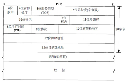 IP协议报文头部解析_ip报文头-CSDN博客