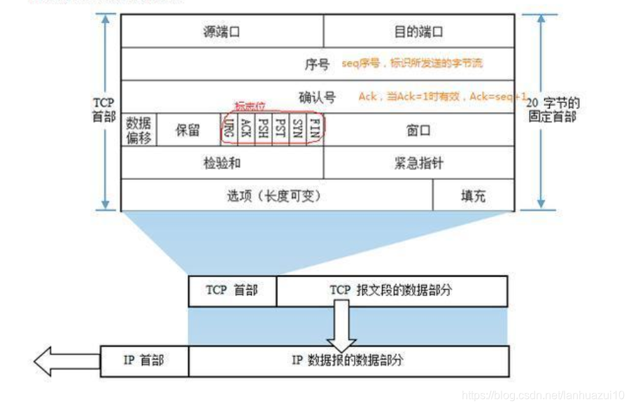 TCP报文解析_tcp option-CSDN博客