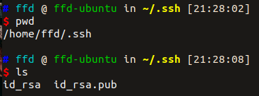 id_rsa.pub