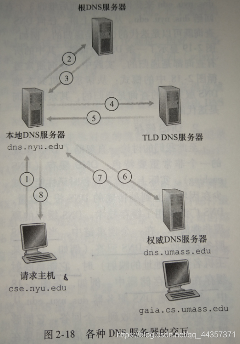 各种DNS服务器的交互