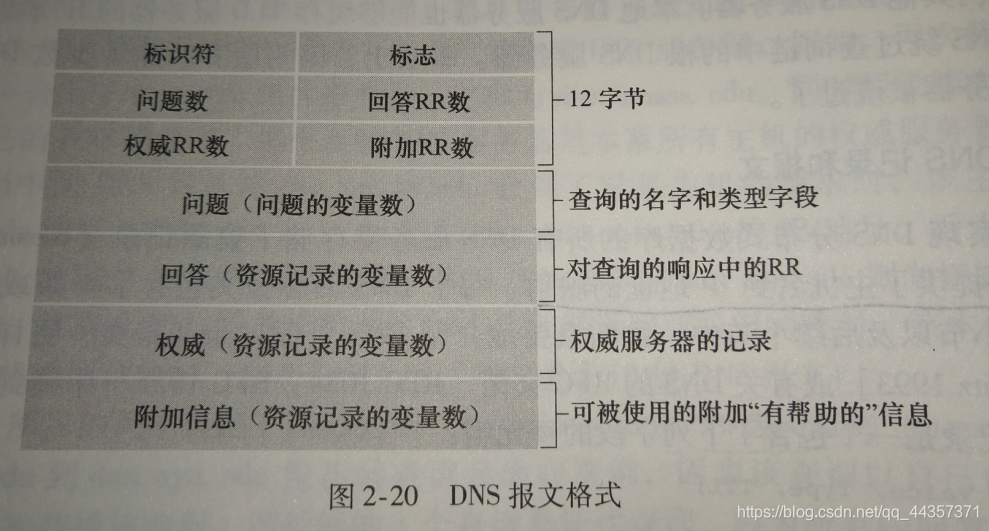 DNS报文格式