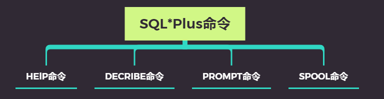 Oracle（四）：和SQL*Plus命令来场邂逅数据库liangsena的博客-