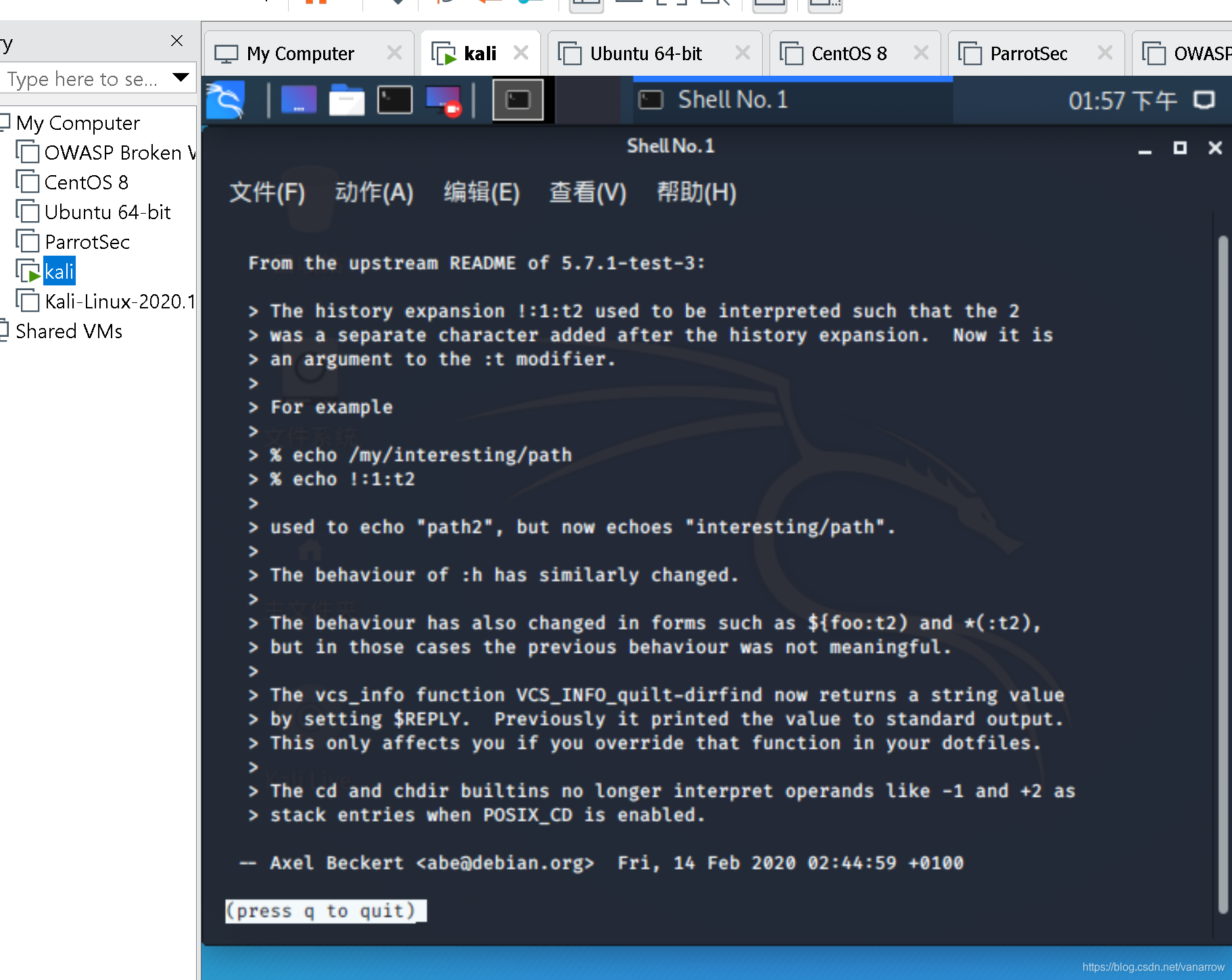 【Kali Linux 2020.1b】 全网 最新 安装 教程 ——你会踩到的坑,遇到的问题,难以哭诉的崩溃运维algae-